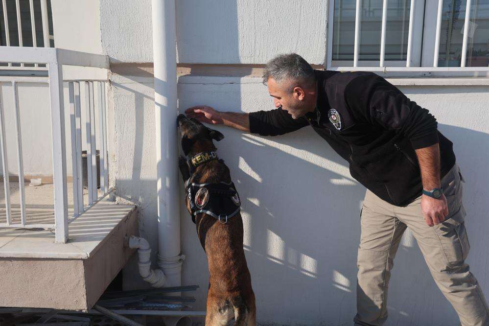 Konya’daki hassas burunların oyunu zehir tacirlerini yakıyor 8